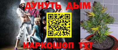 apvp Аргун