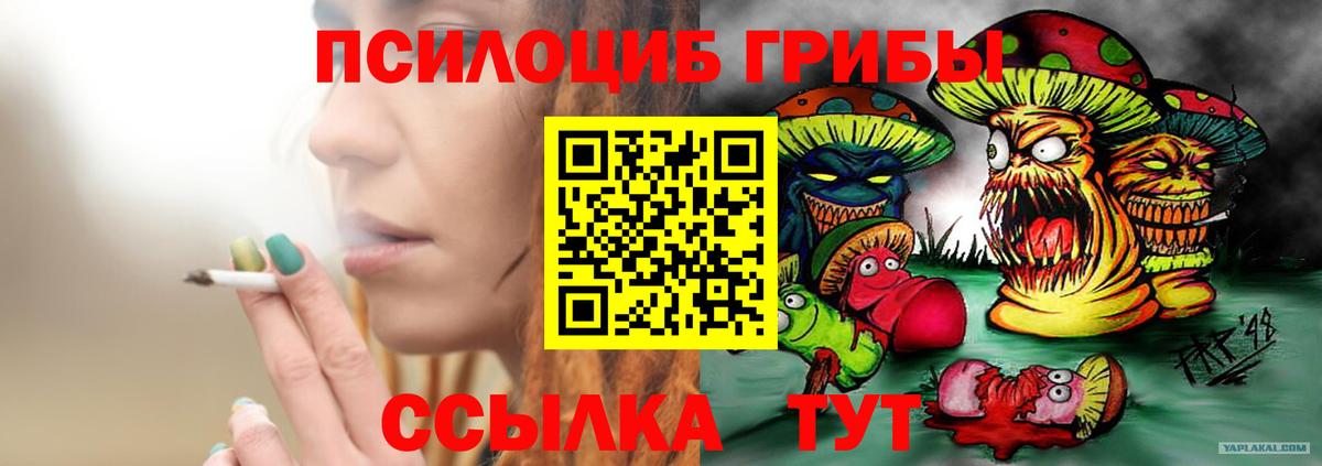 Псилоцибиновые грибы GOLDEN TEACHER  купить наркотик  Берёзовский  Вход с VPN 
